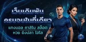 เว็บแทงบอลแนะนำ